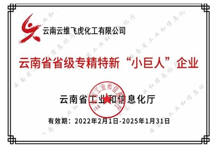 曲贝斯特bst2288焦化云维飞虎公司获省级专精特新“小巨人”企业授牌